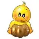 Golden Duck