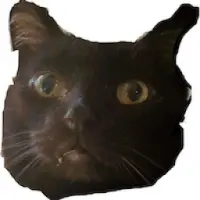 Bitey Coin Logo
