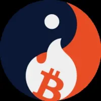 YIN Logo
