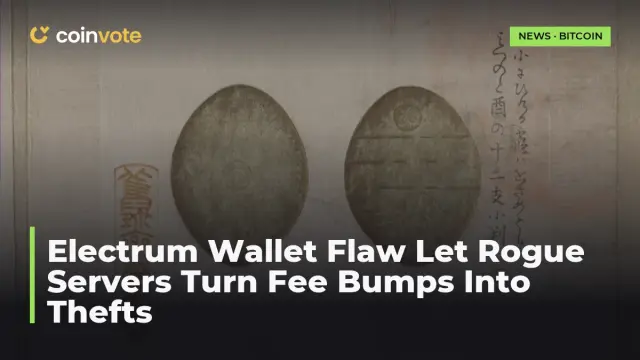 Electrum Wallet Flaw Let Rogue Servers Turn Fee Bumps Into Thefts