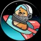 Dogecumrocket