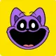 Bonki Cat
