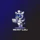 MetaRobo
