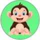 Baby Monkey