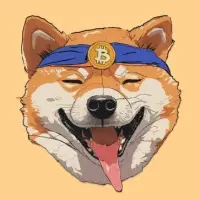BitDoge Logo
