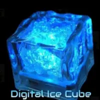 Digital Ice Cube Logo