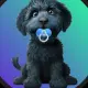 Baby Myro on sol