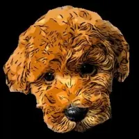 My Dog Token Logo