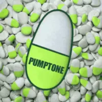 PUMP FUN STONE LIVE Logo