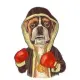 Mini Boxer