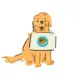 Cake Retriever