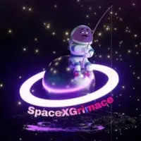 SPACEX X GRIMACE Logo
