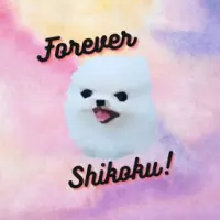 Forever Shikoku Logo