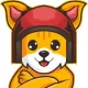CatsRace