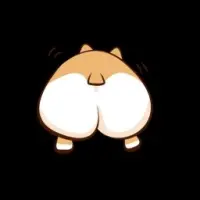 Corgimoon Logo