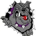 Bullish Dog Logo