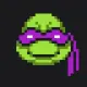 TurtleInu