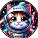 SpaceX Cats