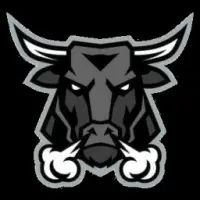 BullMaster Logo