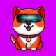 Meta Baby Doge