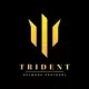 TRIDENT NETWORK