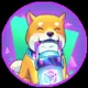 Doge Spacemoon