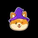Witch Doge