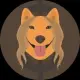 MotherDoge Token