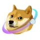 OrbitDoge