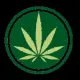 Green Thumb Finance