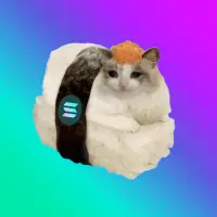Solshi Cat Logo