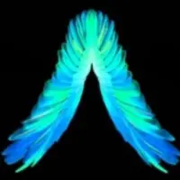 SEND to EARN Logo