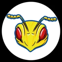 Hornet Logo