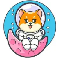 BabyFlokiGirl Logo