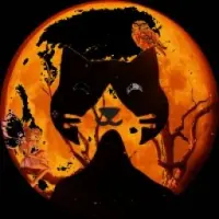 Moonkat Finance Logo