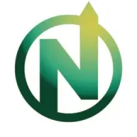Neso Token Logo