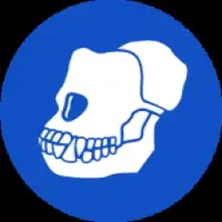 ApeCoinBSC Logo