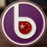 BANKROLL CHINA Logo
