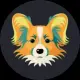 Chinese Crestd Dog