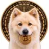 BUDDY First Crypto Dog Logo