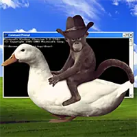 Monkey On Duck XP Logo