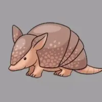 Friendly Armadillo Logo