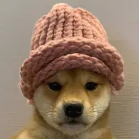 Dog wif hat Logo