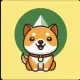 Baby Doge Classic
