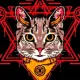 HELL CAT