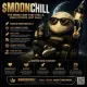 Moon Chill