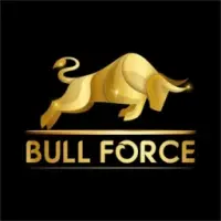 Bull Force Logo