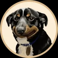 NIBBA Logo