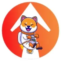 BabyFlokiRise Logo