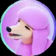 PoodleFi
